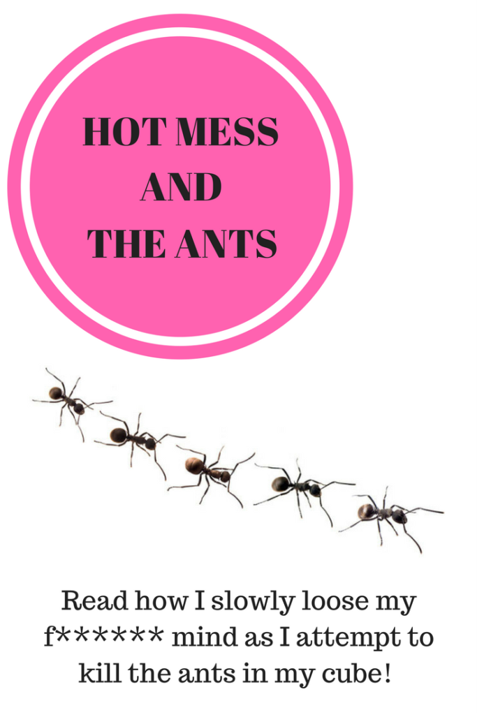 Hot Mess and the ants