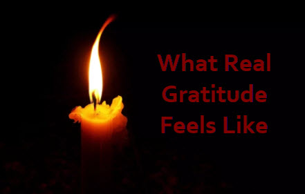 gratitude