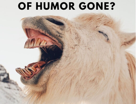 sense of humor