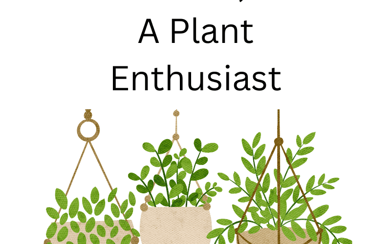 I’ve Become a Plant Lady, Ahem, A Plant Enthusiast